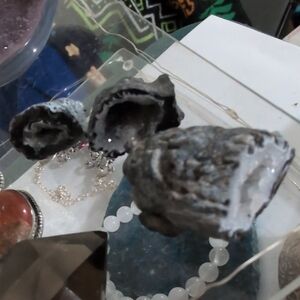 Fairygodmothers "Three Bears" These Feisty Geoedes Survived